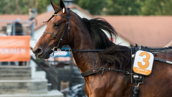 Foto: LENA EMMOTH / TR BILD