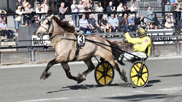 Foto: STEIN LARSEN