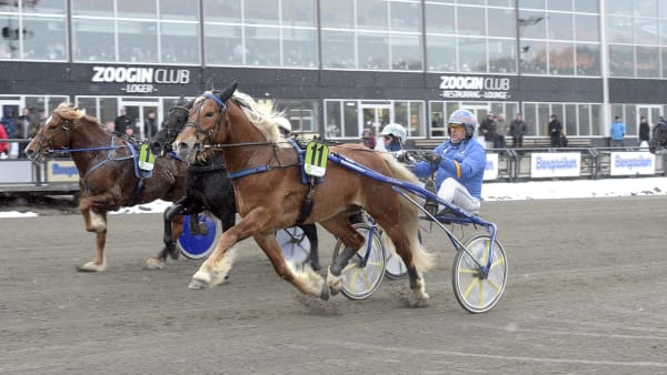 Foto: LARS JAKOBSSON / TR BILD