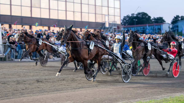 Foto: MIKAEL ROSENQUIST / TR BILD