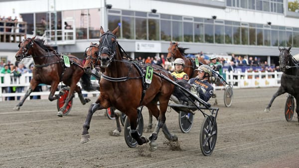 Foto: MATILDA ÖHRMAN / TR BILD
