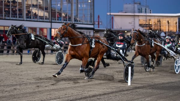 Foto: MIKAEL ROSENQUIST / TR BILD