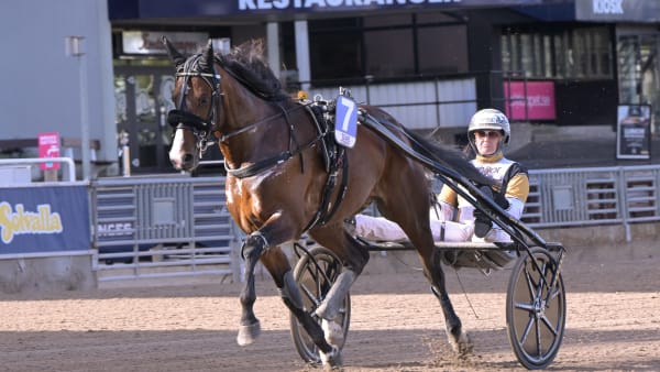 Foto: LARS JAKOBSSON / TR BILD