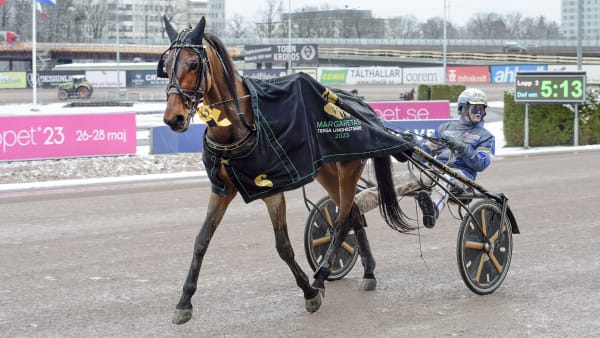 Foto: LARS JAKOBSSON / TR BILD