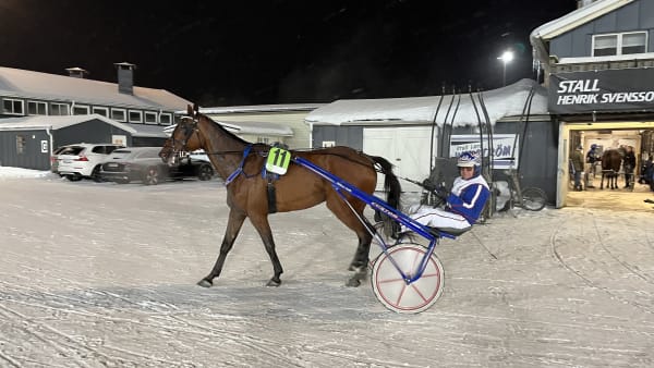 Foto: Lars-Johan Holm/TR Bild.