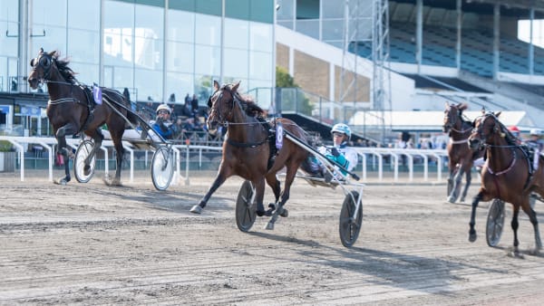 Foto: MIKAEL ROSENQUIST / TR BILD