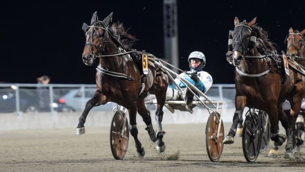 Foto: LARS JAKOBSSON / TR BILD