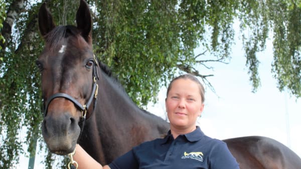 Foto: Svensk Travsport