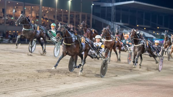 Foto: MIKAEL ROSENQUIST / TR BILD