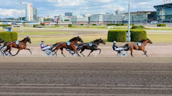 Foto: LUCAS ERICSSON/TR BILD