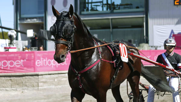 Foto: MARIA HOLMÉN / TR BILD