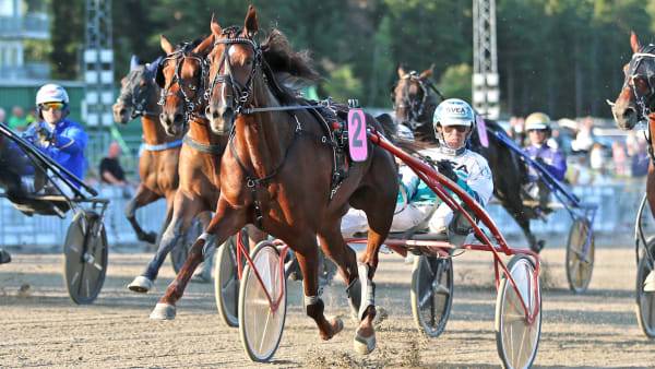Foto: MARIA HOLMÉN / TR BILD
