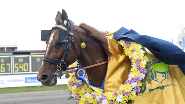 Foto: LARS JAKOBSSON / TR BILD