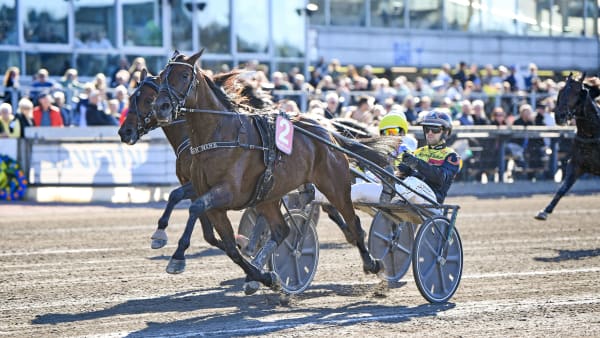 Foto: MALIN ALBINSSON / TR BILD