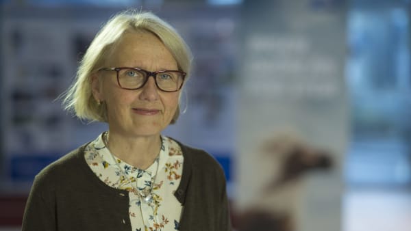 Foto: THOMAS BLOMQVIST / TR BILD