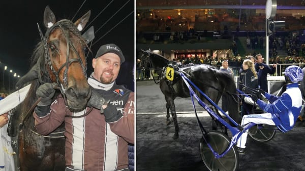 Foto: TR BILD/MONTAGE