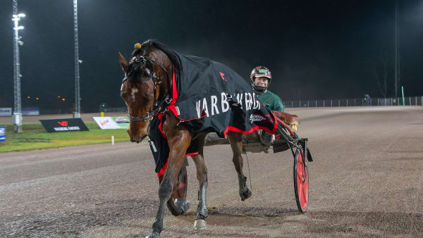 Foto: MIKAEL ROSENQUIST / TR BILD