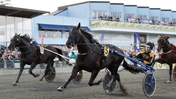 Foto: LENA EMMOTH / TR BILD