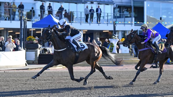 Foto: MALIN ALBINSSON / TR BILD