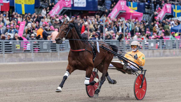 Foto: LENA EMMOTH / TR BILD