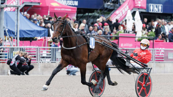 Foto: LENA EMMOTH / TR BILD