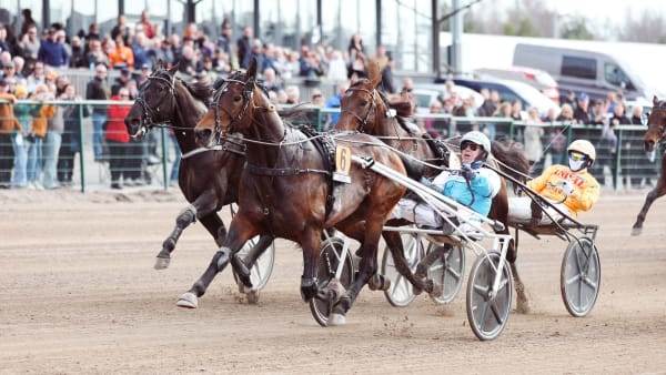 Foto: Maisa Hyttinen/Suomen Hippos