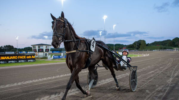 Foto: MIKAEL ROSENQUIST / TR BILD