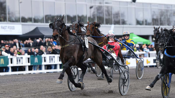 Foto: MALIN ALBINSSON / TR BILD