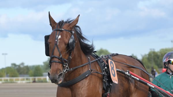 Foto: LARS JAKOBSSON / TR BILD