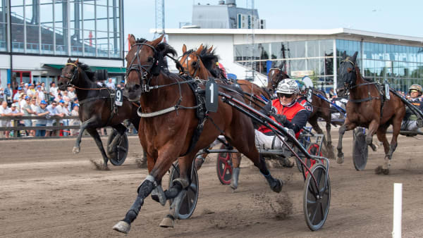 Foto: MIKAEL ROSENQUIST / TR BILD