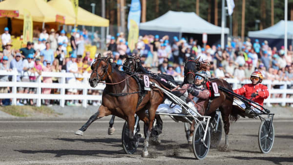 Foto: Maisa Hyttinen/Suomen Hippos