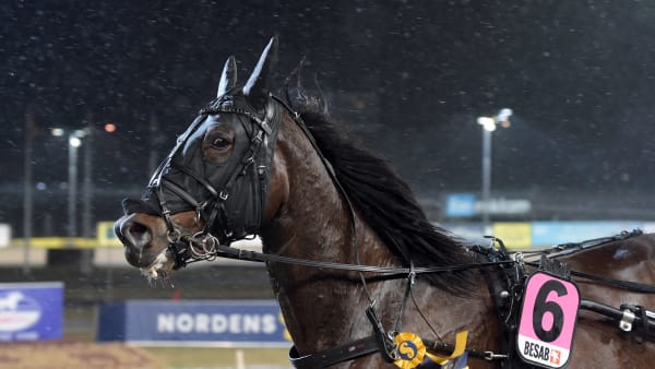 Foto: LARS JAKOBSSON / TR BILD