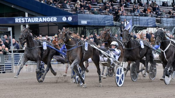 Foto: LARS JAKOBSSON / TR BILD