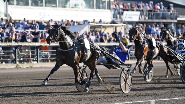 Foto: MALIN ALBINSSON / TR BILD