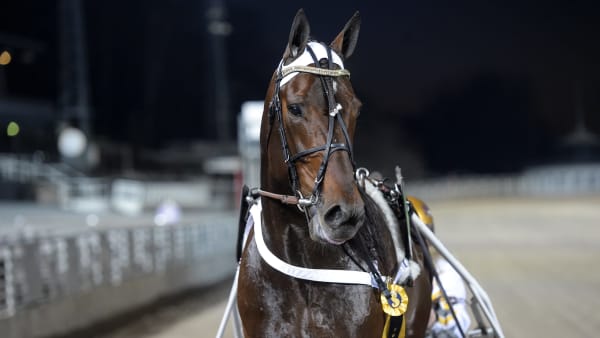 Foto: LARS JAKOBSSON / TR BILD