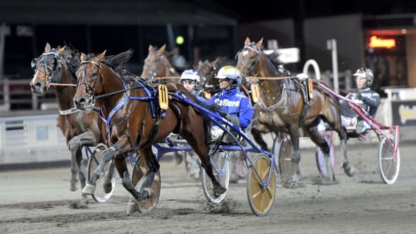 Foto: LARS JAKOBSSON / TR BILD