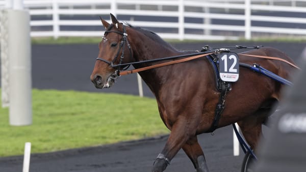 Foto: JEAN-LUC LAMAÈRE/TR BILD
