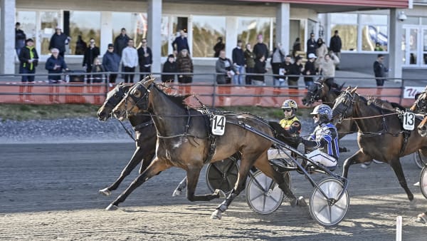 Foto: JENNY REHNMAN / TR BILD