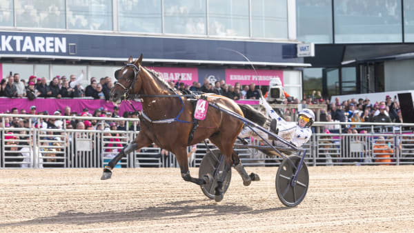 Foto: LENA EMMOTH / TR BILD