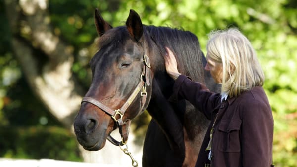 Foto: MIA TÖRNBERG/TR BILD
