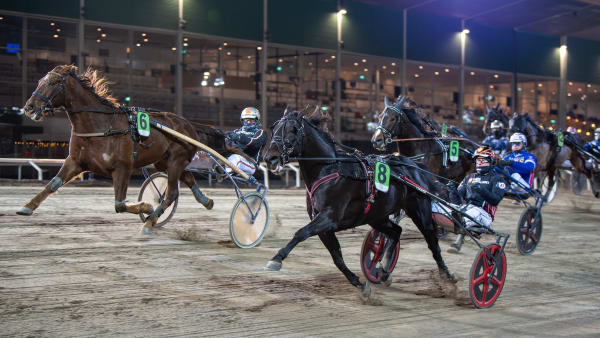 Foto: MIKAEL ROSENQUIST / TR BILD