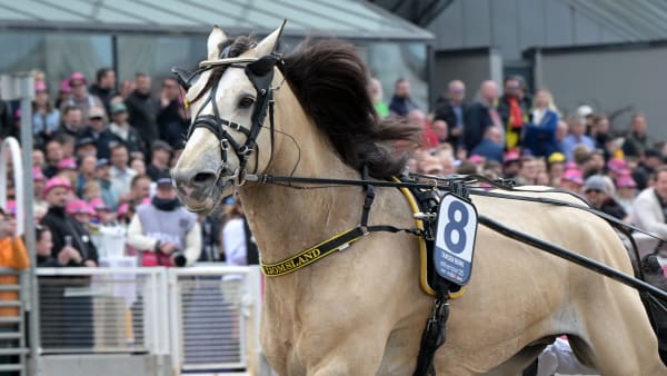 Foto: LARS JAKOBSSON / TR BILD