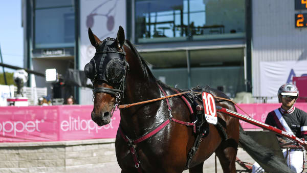 Foto: MARIA HOLMÉN / TR BILD