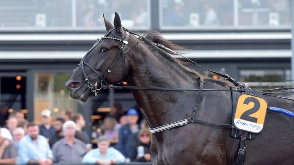 Foto: LARS JAKOBSSON / TR BILD