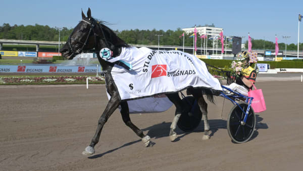 Foto: LARS JAKOBSSON / TR BILD