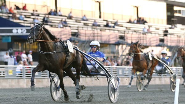 Foto: MARIA HOLMÉN / TR BILD