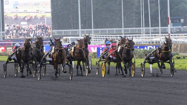 Foto: JEAN-LUC LAMAÈRE/TR BILD