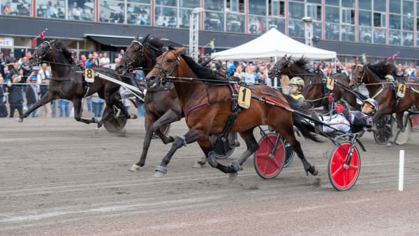 Foto: MIKAEL ROSENQUIST/TR BILD