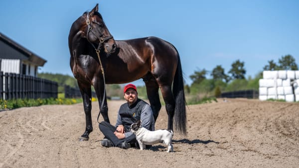 Foto: THOMAS BLOMQVIST / TR BILD