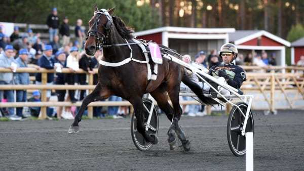 Foto: MALIN ALBINSSON / TR BILD